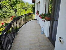 Casa Irina - accommodation in  Olt Valley, Horezu (34)