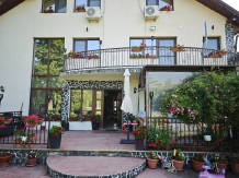 Casa Irina - accommodation in  Olt Valley, Horezu (35)