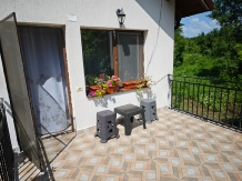 Casa Irina - accommodation in  Olt Valley, Horezu (38)
