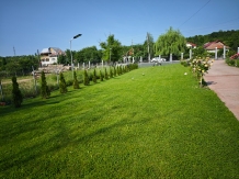Casa Irina - accommodation in  Olt Valley, Horezu (42)