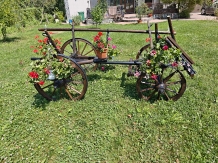 Casa Irina - accommodation in  Olt Valley, Horezu (44)