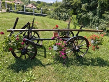 Casa Irina - accommodation in  Olt Valley, Horezu (45)