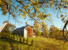 Scandinave Chalet Bran - cazare Rucar - Bran, Moeciu, Bran (04)