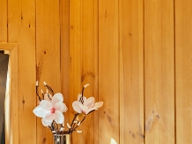 Scandinave Chalet Bran - cazare Rucar - Bran, Moeciu, Bran (27)