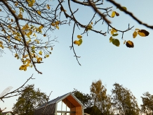 Scandinave Chalet Bran - cazare Rucar - Bran, Moeciu, Bran (35)