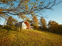 Scandinave Chalet Bran - cazare Rucar - Bran, Moeciu, Bran (37)