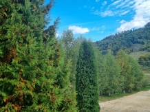 Casuta dintre Brazi - cazare Rucar - Bran, Rasnov (28)