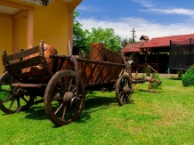 Pensiunea La Mateo - alloggio in  Valea Oltului (17)