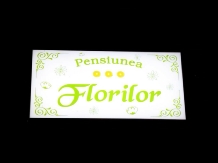 Pensiunea Florilor - accommodation in  Maramures (05)