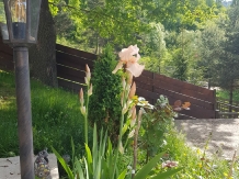 Sara pe deal - alloggio in  Ceahlau Bicaz (30)