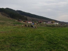 La Hacienda Piscina si Centru de Echitatie - alloggio in  Transilvania (12)