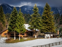 Chalet Rozmarin Predeal - alloggio in  Valle di Prahova (13)