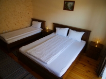 Casa de vacanta Carpatin - alloggio in  Dintorni di Sibiu (15)