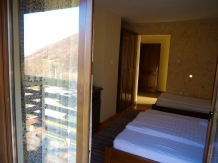 Casa de vacanta Carpatin - accommodation in  Sibiu Surroundings (21)