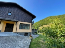 Casa de vacanta Carpatin - alloggio in  Dintorni di Sibiu (36)