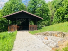 Casa de vacanta Carpatin - alloggio in  Dintorni di Sibiu (43)
