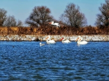 Cazare Regina Anastasia - alloggio in  Delta del Danubio (10)