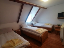Pensiunea Anidor - accommodation in  Hateg Country (11)