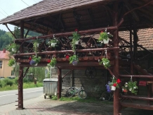 Pensiunea Gaiu - accommodation in  Apuseni Mountains, Motilor Country, Arieseni (06)