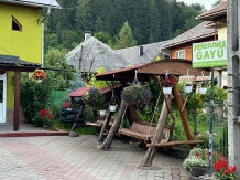 Pensiunea Gaiu - accommodation in  Apuseni Mountains, Motilor Country, Arieseni (35)