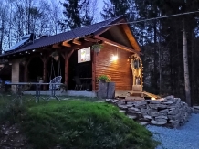 Poienita Motilor - cazare Arieseni (23)