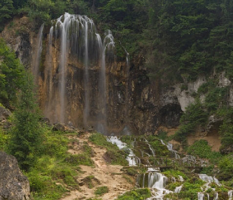 Poienita Motilor - cazare Arieseni (Activitati si imprejurimi)