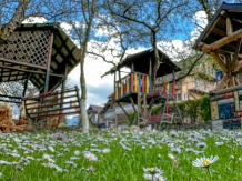 Pensiunea Delia - accommodation in  Rucar - Bran, Moeciu (02)