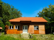 Rural accommodation at  Casa Bucur Obor Panatau