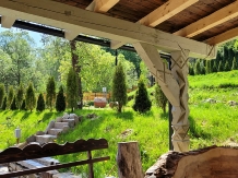 Casa cu Moara - alloggio in  Belis (03)