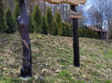 Casa cu Moara - alloggio in  Belis (10)