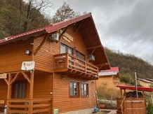 Casa Favorit - alloggio in  Tara Hategului (35)