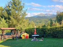 Cabana Aer de Munte - accommodation in  Fagaras and nearby (03)