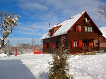 Cabana Aer de Munte - accommodation in  Fagaras and nearby (06)