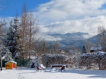 Cabana Aer de Munte - accommodation in  Fagaras and nearby (07)