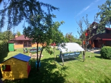 Cabana Aer de Munte - accommodation in  Fagaras and nearby (25)