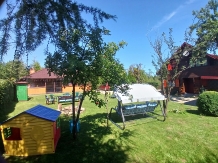 Cabana Aer de Munte - accommodation in  Fagaras and nearby (26)