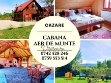 Cabana Aer de Munte - accommodation in  Fagaras and nearby (29)