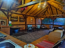 Cabana Aer de Munte - accommodation in  Fagaras and nearby (53)