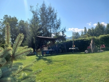 Cabana Aer de Munte - accommodation in  Fagaras and nearby (60)