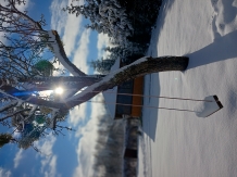 Cabana Aer de Munte - accommodation in  Fagaras and nearby (63)