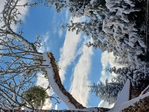 Cabana Aer de Munte - accommodation in  Fagaras and nearby (65)