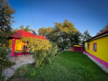 Casuta Mariuca - accommodation in  Danube Delta (03)