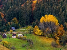 Casuta Bunicii - cazare Rucar - Bran, Moeciu, Bran (04)