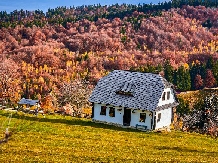 Casuta Bunicii - cazare Rucar - Bran, Moeciu, Bran (09)