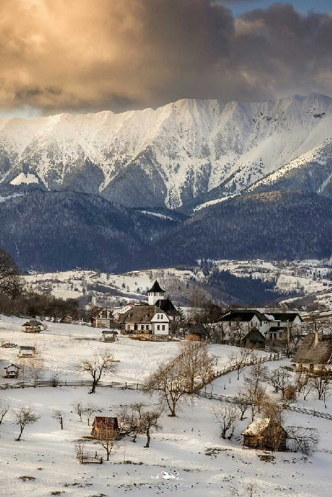 Casuta Bunicii - cazare Rucar - Bran, Moeciu, Bran (Activitati si imprejurimi)