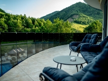 Carpentiere Arena - accommodation in  Sibiu Surroundings (27)