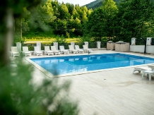 Carpentiere Arena - accommodation in  Sibiu Surroundings (28)