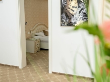 Carpentiere Arena - accommodation in  Sibiu Surroundings (34)