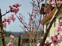 Casa Loreta - cazare Muntenia (03)