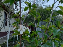Casa Loreta - cazare Muntenia (27)
